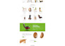 install wordpress theme, import demo, customize and design